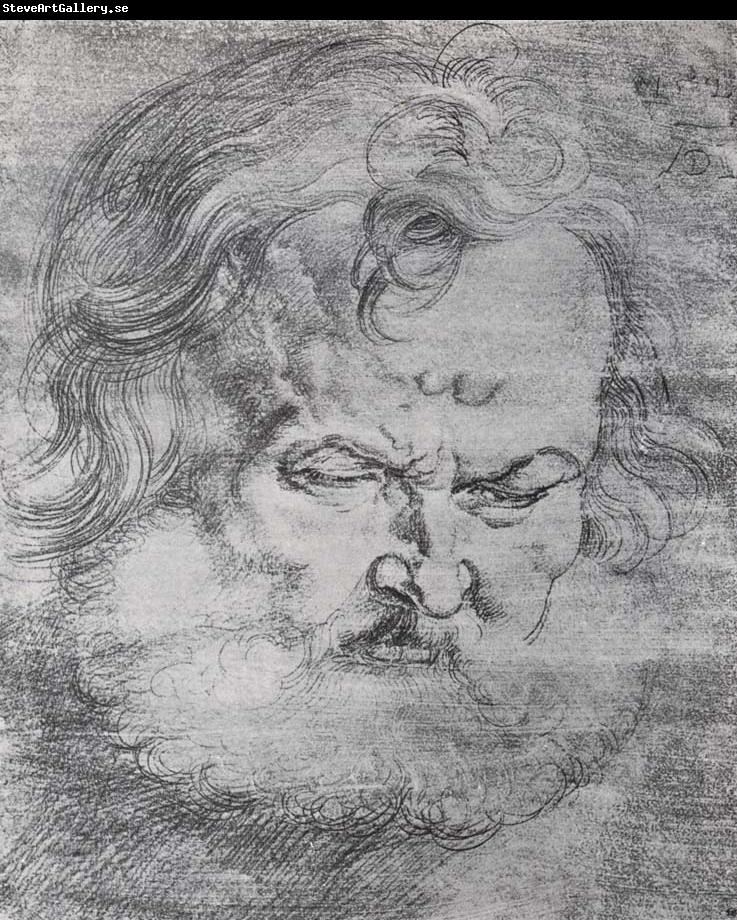 Albrecht Durer Head of St.Peter